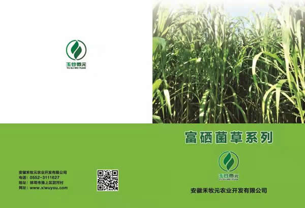 富硒種植技術,禾木元富硒菌種苗富硒種苗